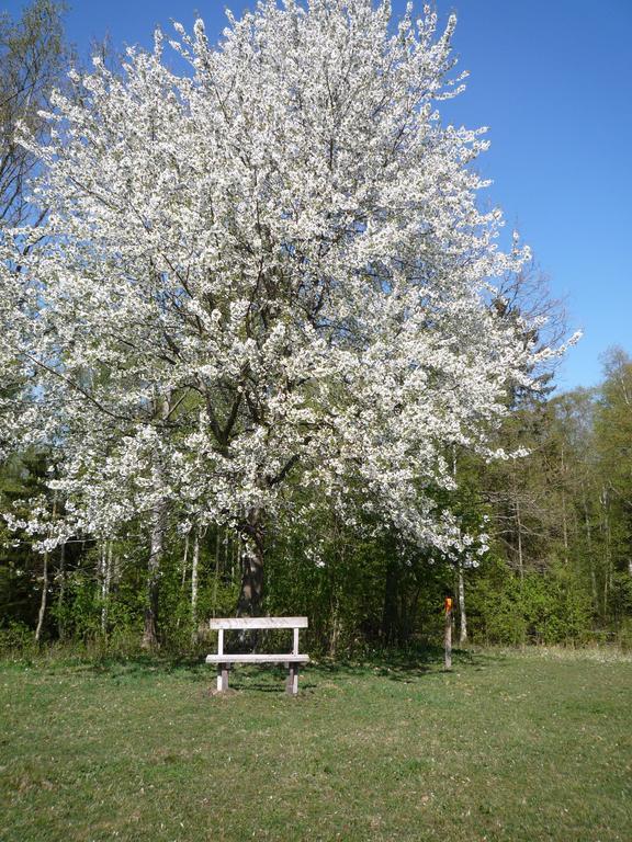 Valle Vandrarhem Axvall ภายนอก รูปภาพ