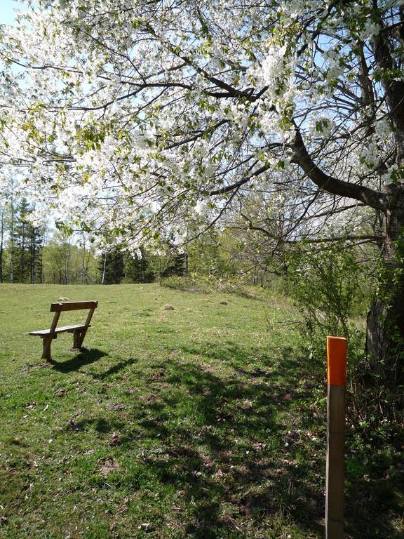 Valle Vandrarhem Axvall ภายนอก รูปภาพ