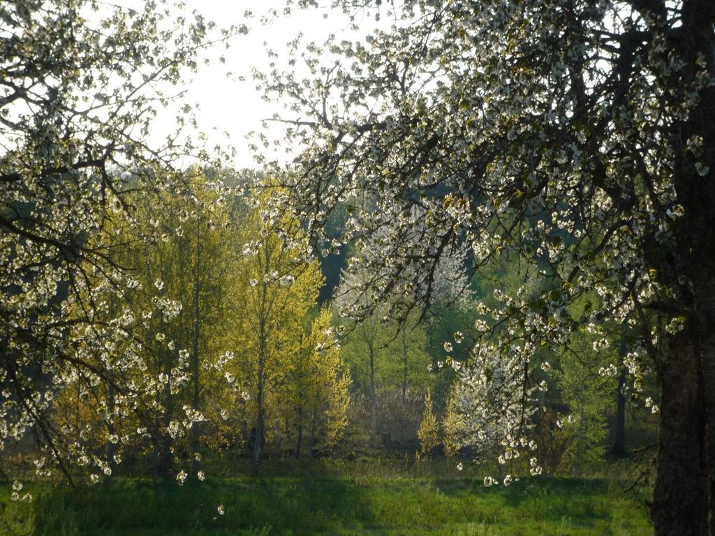 Valle Vandrarhem Axvall ภายนอก รูปภาพ
